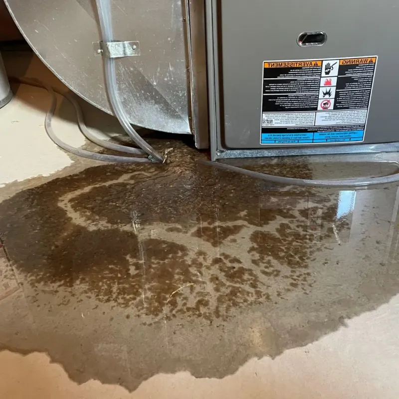 Pipe Burst and Leak Restoration in Ripley, TN